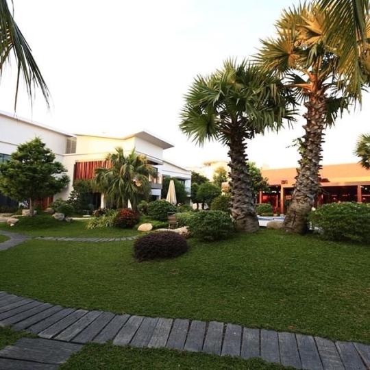 Thi công ốp đá nội thất và sân vườn