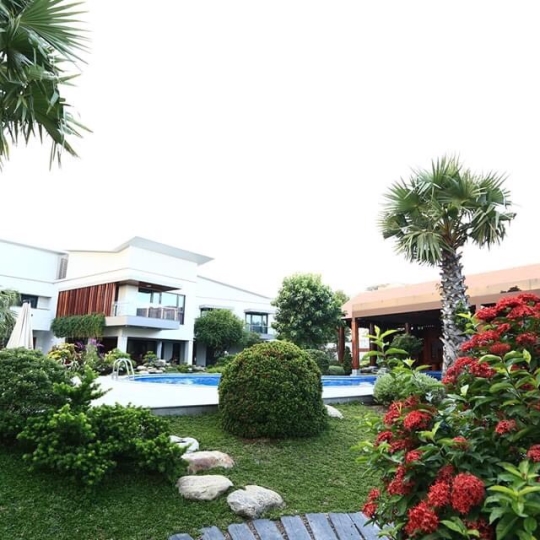 Thi công ốp đá nội thất và sân vườn