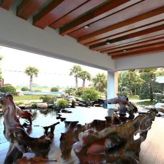 Thi công ốp đá nội thất và sân vườn