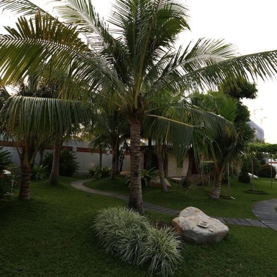 Thi công ốp đá nội thất và sân vườn